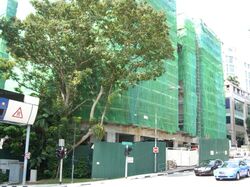 One Oxley Rise (D9), Apartment #581753411